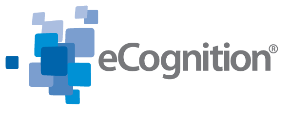 ecognition icon